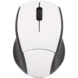 Souris sans-fil TNB MM240
