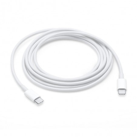 Câble USB-C APPLE - 1M