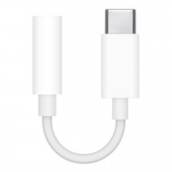 Adaptateur USB-C vers jack 3.5mm - APPLE