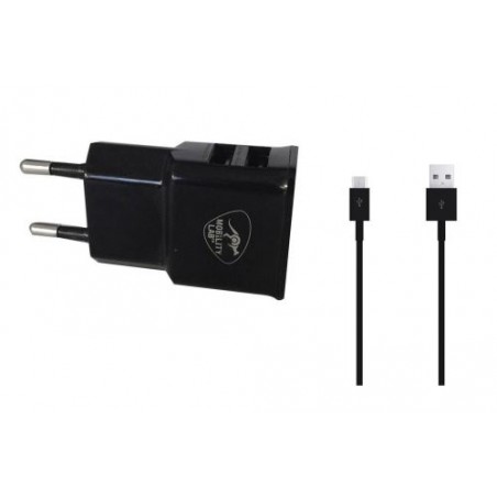 Pack2-EN-1 MOBILITY LAB - Micro USB + USB-C